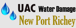 Water Damage New Port Richey
